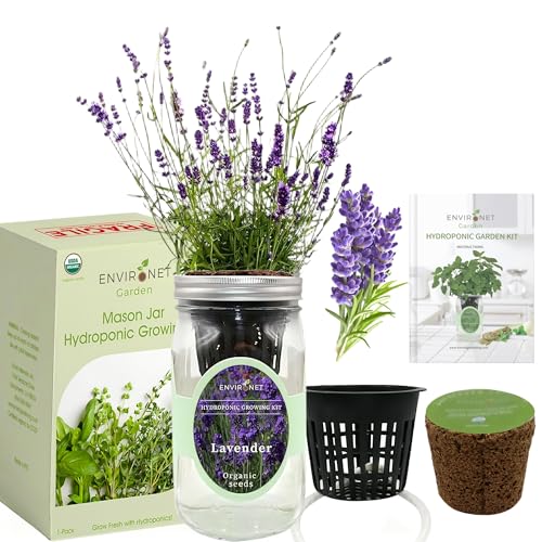 Hydroponic Herb Growing Kit, Self-Watering Mason Jar Herb Garden Starter Kit Indoor, Windowsill Herbs Garden, Grow Your Own Herbs from Organic Seeds (Lavender) - color: Lavender