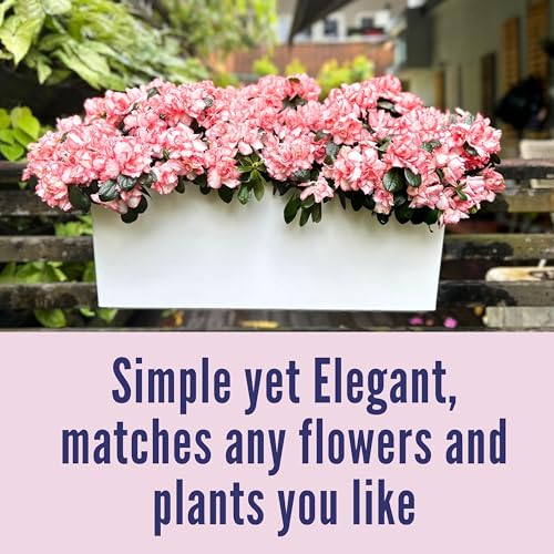LaLaGreen Rail Planter for Balcony Outdoor (20 Inch, 2 Pack) Large White Self Watering Deck Railing Planters with Brackets, Rectangular Plastic Fence Flower Box Designer Choice - color: 20" X 2 (White)
