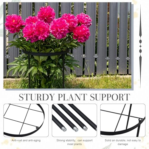 2 Pack 18.9" x 23.6" Large Peony Cage and Support