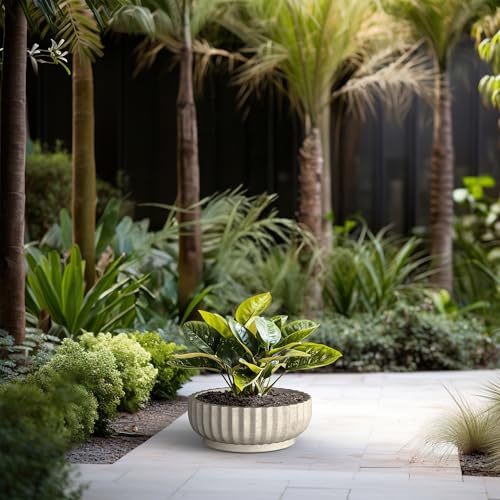 Kante Weathered Concrete Planter 14.6" Dia All-Weather Round Accent Pot - color: Weathered Concrete, size: 14.6"Dia x 5.5"H