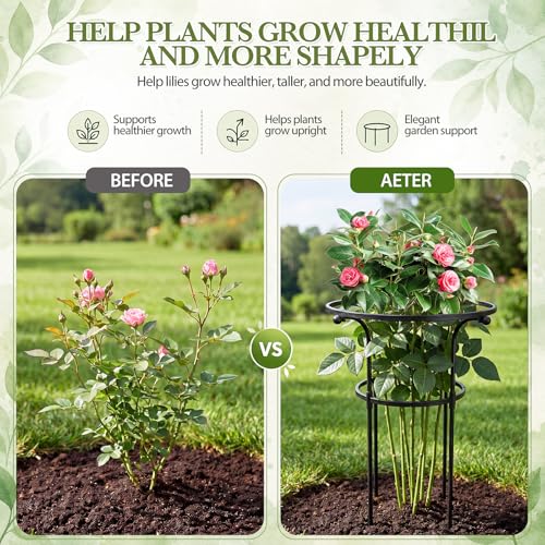 2 Pack Large Peony Cages and Supports, 26" H x 20" D Grow Through Plant Support Rings, Plastic Rings with Stainless Steel Stakes for Peonies, Roses Tomato Hydrangea Strawberry