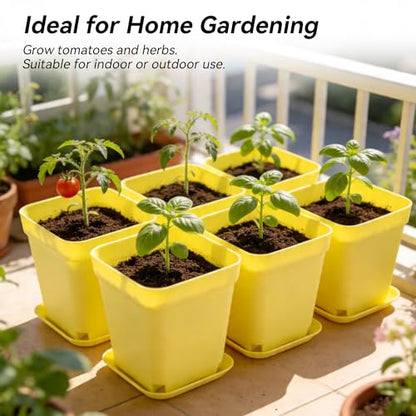HOIGON 100 Pack 3 Inch Yellow Square Nursery Pot, Durable Thickened Plastic Nursery Pots with Drainage Holes and Saucers, Small Square Planting Containers for Flower Tomatoes Basil - color: Yellow