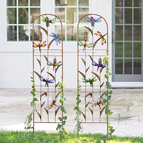 2 Pack Metal Garden Trellis for Climbing Plants - style: Dragonfly