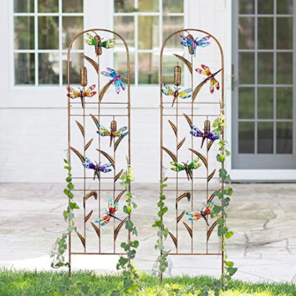 2 Pack Metal Garden Trellis for Climbing Plants - style: Dragonfly