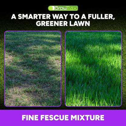 Growtrax Fine Fescue Grass Mat - 200 Sq Ft Jumbo Roll