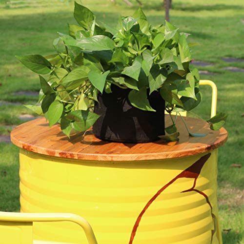 Gardzen 20-Pack 1 Gallon Nonwoven Grow Bags, Aeration Fabric Pots - size: 1 Gallon