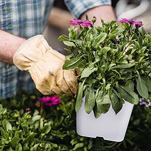 Square Planter Nursery Pots 3.15 Gallon Pots for Plants, Injection Molded Plastic Nursery Pots, Plant Container White 3.15 Gal 10-Pack - color: White, size: Square-10inch-10pcs