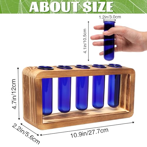 Glass Plant Propagation Station with 5 Test Tubes Colorful Planter Vase - color: Blue