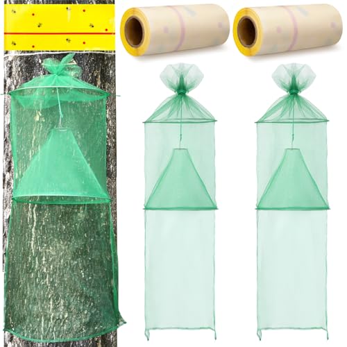 Qualirey 2 Pack Spotted Lanternfly Traps and 2 Rolls Spotted Lantern Fly Tree Tape Mesh Lantern Fly Killer with Jute Rope and Nails Effective Way to Catch Lanternflies and Nymphs Protecting Trees