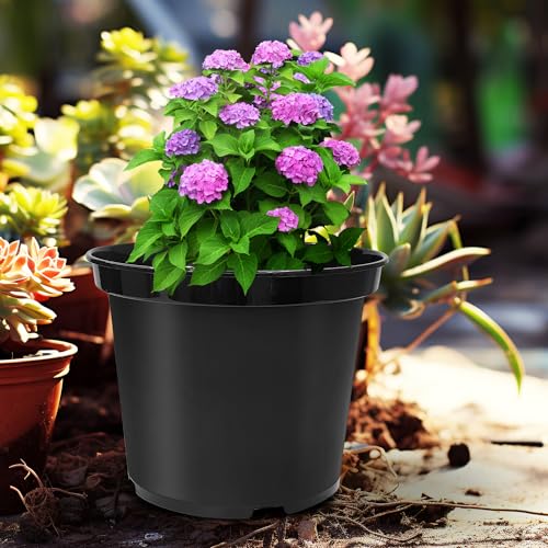 RooTrimmer 3 Gallon Plastic Nursery Pots, 10 Inch Round Plant Pots with Drainage Holes, 10 Pack Planting Pot for Outdoor Indoor Plants, Gardening Gifts for Women, Black - size: 3Gallon-10P-Black