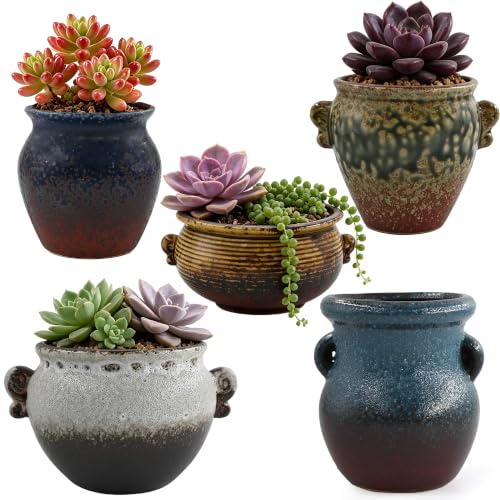Succulent Ceramic Pots Retro Garden Planter Small Plant Container with Drainage Set of 5 for Home Office Decor - color: D Set of 5