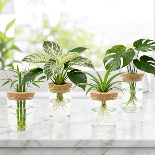 4 Pack Glass Plant Propagation Station,Desktop Vases for Home Office Decor