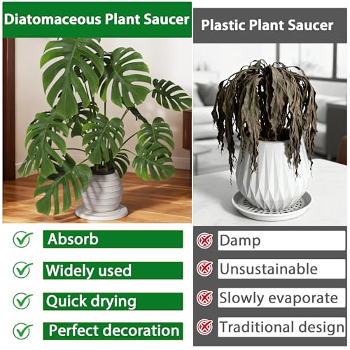 Diatomaceous Earth Plant Saucer, Round Pot Saucers, 2 Pcs 12 Inch - color: 2pcs White Large