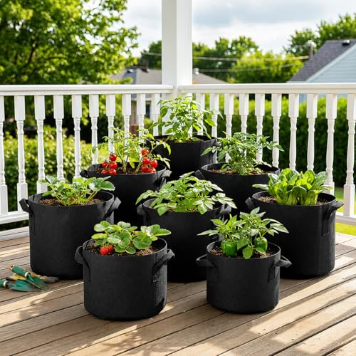 5 Pack 5 Gallon Grow Bags, Thickened Aeration Nonwoven Fabric Plant Pots with Handles, Heavy Duty 300G Garden Planting Bag for Tomato, Potato, Strawberry, Vegetable, Fruits and Flowers - size: 5 Gallon