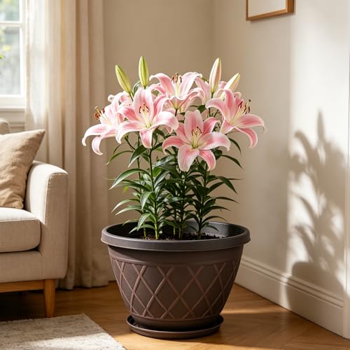 4 Pack 10 Inch Plant Pot, Planter Pots with Drainage Holes & Saucers - color: Plaid Pattern-brown, size: 10 Inch - 4Pack