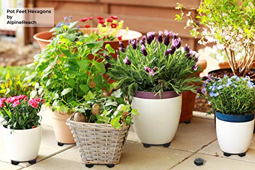 AlpineReach Extra Heavy Duty Pot Feet Risers 12 Pack Hexagons & Adhesive Pads - Protect Healthy Plants - Strong Invisible Supports Small Large Flower Planters Stability - Outdoor Lifter Toes Elevator
