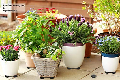 AlpineReach Extra Heavy Duty Pot Feet Risers 12 Pack Hexagons & Adhesive Pads - Protect Healthy Plants - Strong Invisible Supports Small Large Flower Planters Stability - Outdoor Lifter Toes Elevator