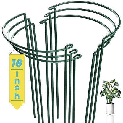6-Pack Snake Plant Support Stakes, Half-Round Peony Cages and Supports, Green Plant Support Ring - Sturdy and Durable for Indoor and Outdoor Potted Plants, Such as Amaryllis, Peony, Hydrangea - size: 16x10in