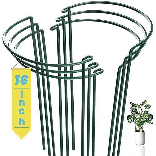 6-Pack Snake Plant Support Stakes, Half-Round Peony Cages and Supports, Green Plant Support Ring - Sturdy and Durable for Indoor and Outdoor Potted Plants, Such as Amaryllis, Peony, Hydrangea - size: 16x10in