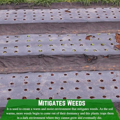 Farm Plastic Supply - Weed Control 6 Mil Black/White Polyethylene Sheeting - Heavy Duty Weed Barrier Landscape Fabric for Outdoor Gardens, Non Woven Weed Blocker Fabric, Weed Control (24' x 25') - size: 24' x 25'