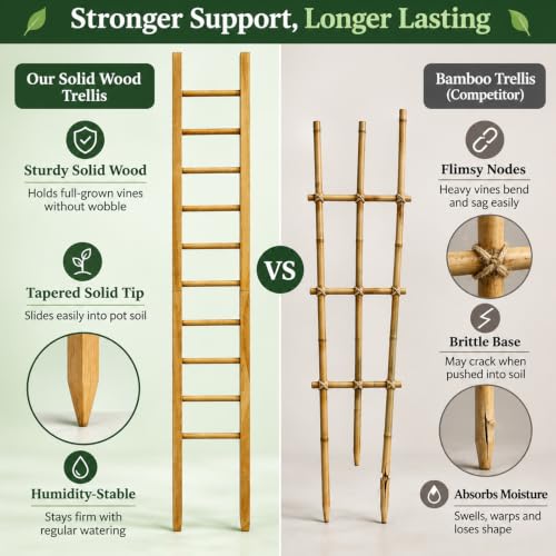 Plant Trellis Indoor 31" Wood Climbing Support for Hoya Pothos, Ivy & Vines - size: 31" H