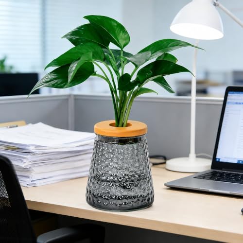 Desktop Plant Hydroponic Vases, Water Plant Jars, Gardening Gifts for Office and Home, Outdoor, Gray Ripple Pattern - color: Gray Ripple Pattern