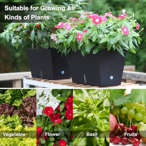 Window Box Planter 6 Pcs, 12.1 Inches Self Watering Plant Pots Rectangle Flower Pots with Drainage Holes and Breathable Trays, Vegetable Planters for Windowsill Patio Garden Balcony Porch Yard (Black) - color: Black, size: 12.1*6.4*6.3 inch