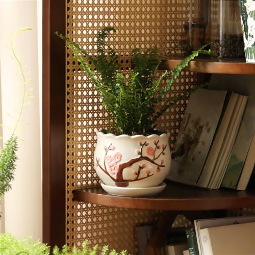 Ceramic Plant Pots with Drainage Holes and Saucers, Small Planters Set of 3 - color: White01