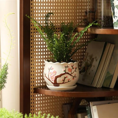 Ceramic Plant Pots with Drainage Holes and Saucers, Small Planters Set of 3 - color: White01
