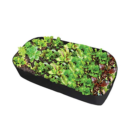 Feitore Fabric Raised Garden Bed, 2ft x 4ft Garden Grow Bags