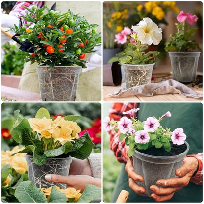 10 Pack Clear Plant Nursery Pots with Drainage 6 Size Plastic Orchid Pots - size: MIX-6 Sizes
