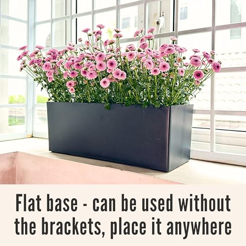 LaLaGreen Wall Planters for Indoor (20in, 2 Pack) Window Planter Boxes - color: Black X 2
