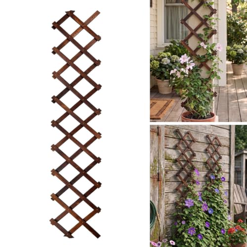 Expandable Garden Trellis, 13"x68" Trellis for Climbing Plants Outdoor 1Pcs - size: 13" x 68" 1 Pack
