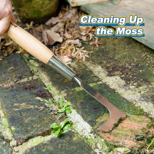 Crack Weeder Tool, L-Shaped Crevice Weeding Tool Garden Tools