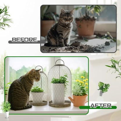 Briwooody 2 Pack Rustic French Wire Mesh Cloche with Base 17'' 20'' Garden Cloches for Plants Large Plant Protection Guards Cover Keep Small Animals Out