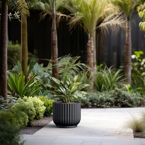Kante Accent Round Pedestal Black Concrete Planter 14" Dia, Outdoor - color: Black, size: 14"w x 11.8"h
