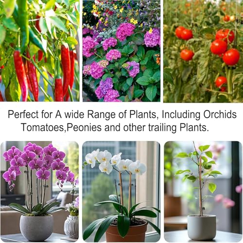 Plants Orchid Support Clips Plant Clips Orchid Clips Flower Vine Clips for Supporting Stems Vines Stalks Climbing Plant Grow Upright 30PCS Tiny Size