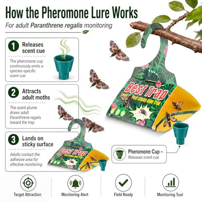 6 Pack Codling Moth Traps for Grapevines with Pheromone Lures – Triangular Hanging Sticky for Grapevines, Includes 6 Traps & 6 Lures, for Orchard & Garden Use