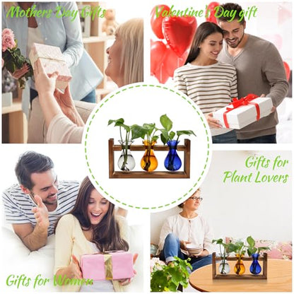 Plant Propagation Station Plant Terrarium Unique Birthday Gifts for Women - color: Color03