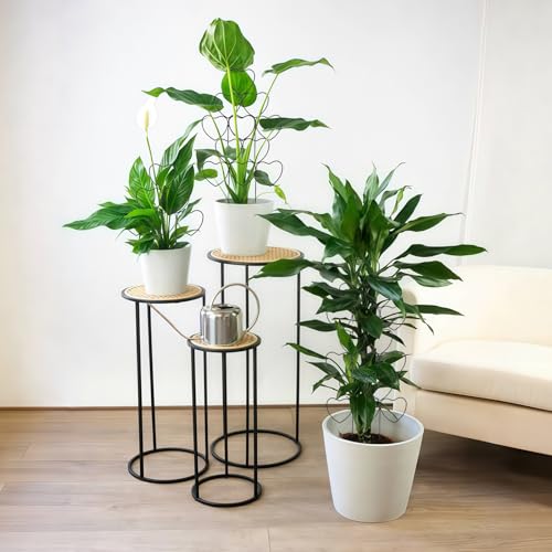 Trellis for Climbing Plants Indoor, Stackable Garden Trellis for Potted Plants, Small House Plant Trellis for Vine Ivy Flower Plant Support Outdoor DIY Metal Trellis 3 Pack, Black
