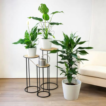 Trellis for Climbing Plants Indoor, Stackable Garden Trellis for Potted Plants, Small House Plant Trellis for Vine Ivy Flower Plant Support Outdoor DIY Metal Trellis 3 Pack, Black