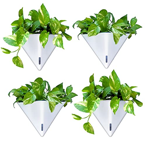 LaLaGreen Wall Planters for Indoor Plants (12in, 4 Pack) Hanging Planter - color: White X 4 Pack