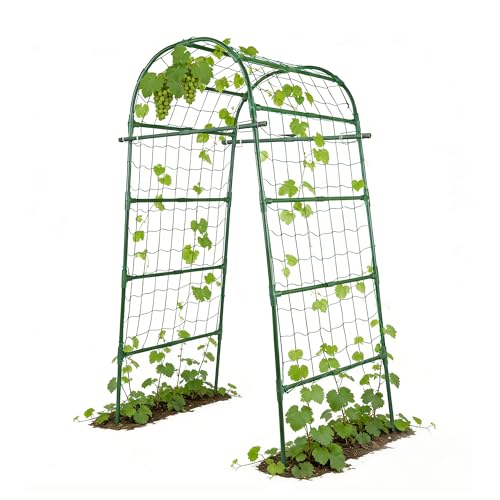 Garden Arch Trellis for Climbing Plants Outdoor, 7 Ft Tall Cucumber Trellis - size: 31.5"L x 50"W x 84"H - Arch Trellis