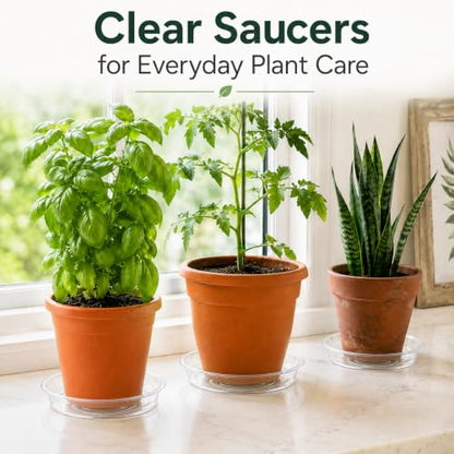 Gardzen Heavy Duty Clear Plastic Plant Saucers, Flower Pot Tray - Excellent for Indoor & Outdoor Plants (10-Inch, 10-Pack) - size: 10 Inch