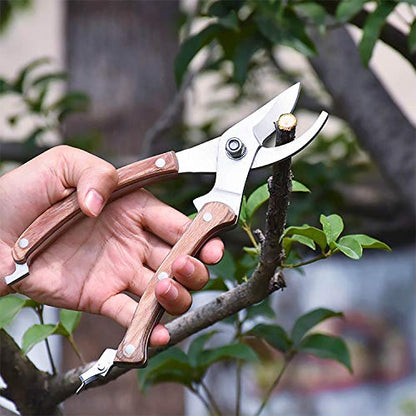 BUGUI 8” Wood Handle Garden Scissors, Set of 2, Includes Bypass Pruning Shears and Long Straight Tip Clippers, Premium Gardening Tools with Precision-Ground SK-5 Steel Blade - style: 8"WoodHandleShearsSet(E023)
