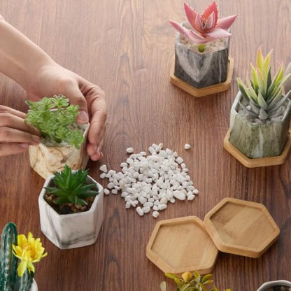 Ziliny Marbling Ceramic Flower Pot Succulent Small Plant Cactus Herbs Planter Ceramic Pot with Drainage Hole Matte Container(4 Pcs,Hexagon Style) - style: Hexagon Style