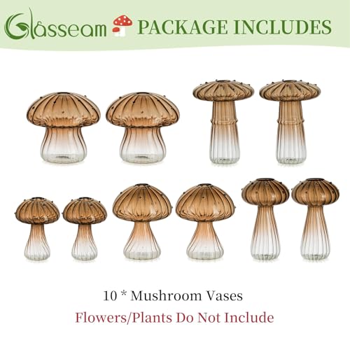 Glasseam Mushroom Plant Propagation Station, 10 Pcs Glass Terrarium Jar - color: Amber, size: 10