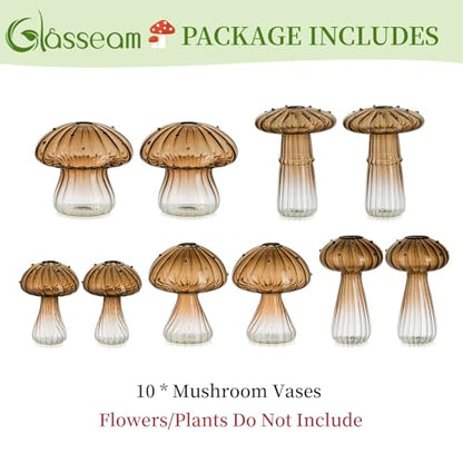 Glasseam Mushroom Plant Propagation Station, 10 Pcs Glass Terrarium Jar - color: Amber, size: 10