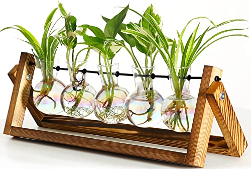 XXXFLOWER Plant Terrarium with Wooden Stand Desk Plant 5 Bulb Vase - size: 5 Bulb Vase