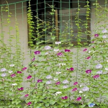 Garden Trellis Netting Plant Support Mesh Heavy Duty Climbing Lattice Square Grid Screen for Vine Vegetable Cucumber (Green) - color: Green